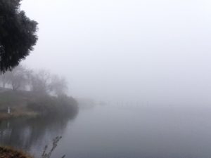 fog of overwhelm